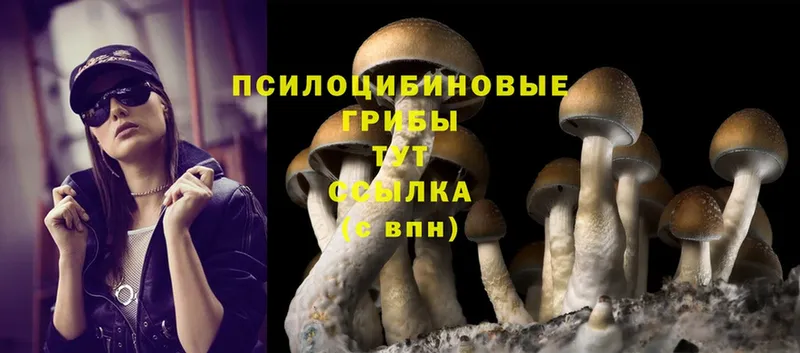 Псилоцибиновые грибы Magic Shrooms  купить  цена  Волгоград 